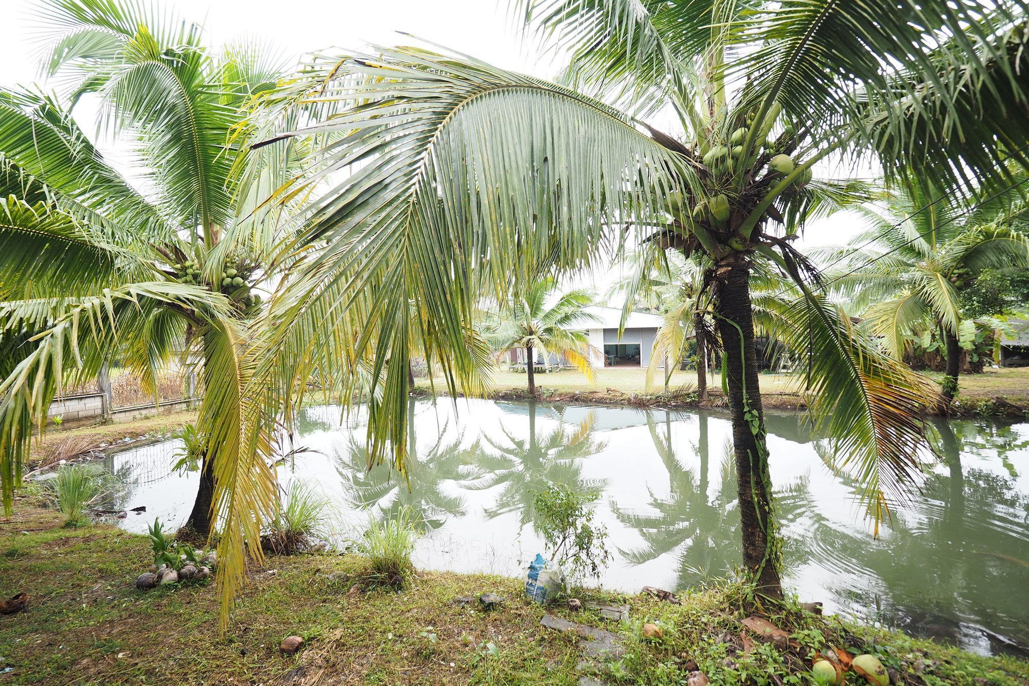 Oyo 75515 Sairung Farmstay Krabi town Buitenkant foto